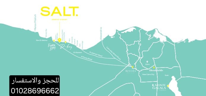 موقع Salt